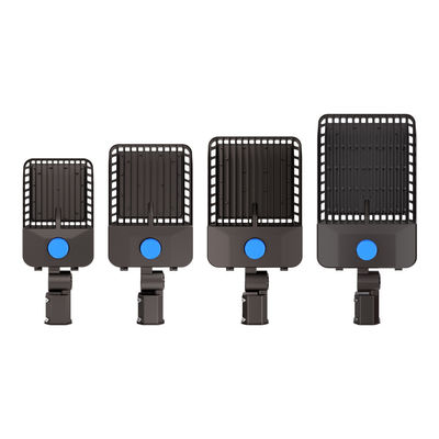 مصابيح إنارة شوارع LED موفرة للطاقة بكفاءة إضاءة 170 لومن/واط ±10% وتصنيف IP66